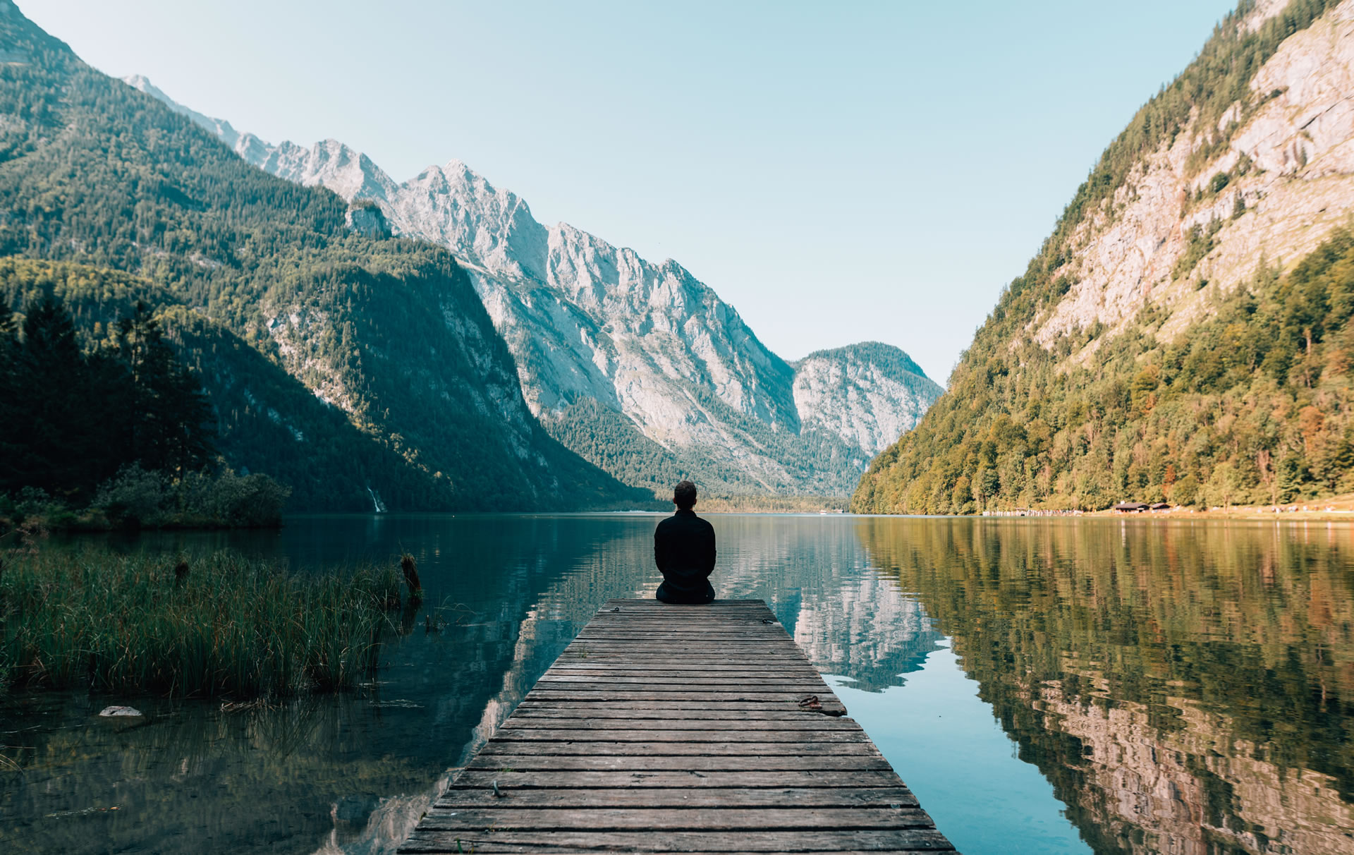 A WordPress Site